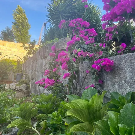 Hidden Gem Near Center- Garden, Outdoor Kitchen, Sauna فيلة *