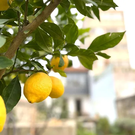 Hidden Gem Near Center- Garden, Outdoor Kitchen, Sauna بورتو